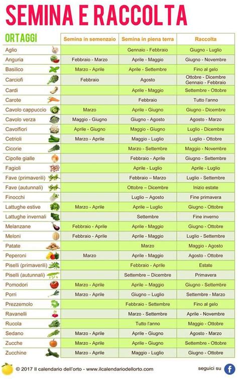 Calendario Semina Piante Aromatiche Guida Completa Per Coltivare Erbe