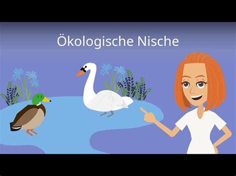 Kologische Nische Arbeitsblatt Biologie Arbeitsbl Tter