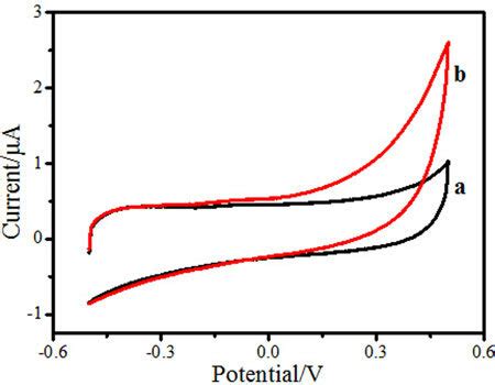 Cyclic Voltammograms At A Scanning Rate Of 100 Millivolts Per Second