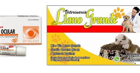 VETERINARIA LLANO GRANDE QUITO ECUADOR EPITELIZANTE OFTALDAY HOLLIDAY