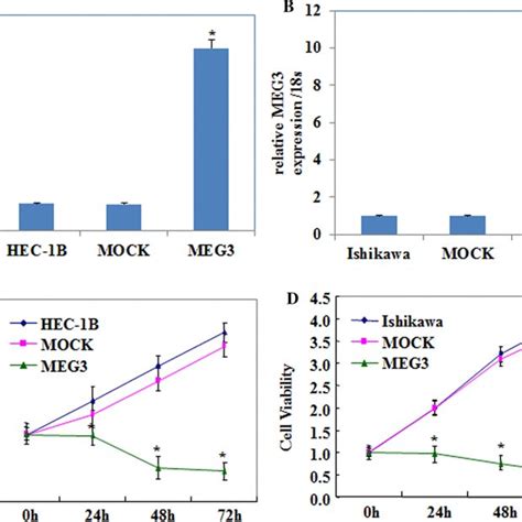 Meg3 Overexpression Inhibits Endometrial Carcinoma Cell Proliferation