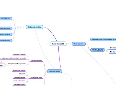 Caso Cl Nico Mind Map