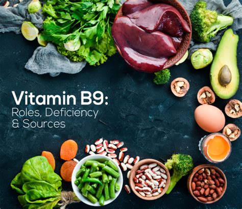 Vitamin B9 Roles Deficiency And Sources Truebasics Blog