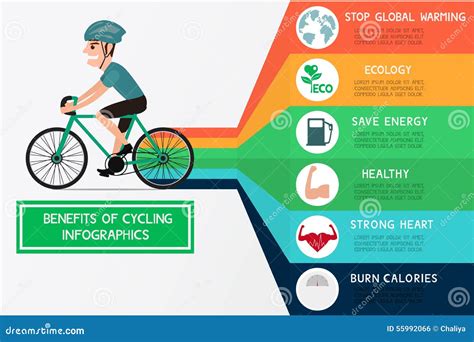 The Benefits Of Cycling Infographics Stock Vector Illustration Of