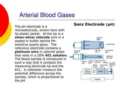 Ppt Arterial Blood Gases Sampling Equipment Calibration And