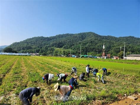 고령군 덕곡면 농업현장 공감행정 실천