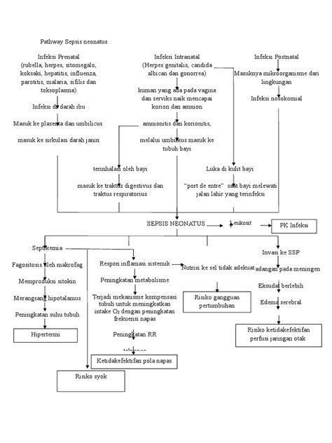 Pathway Sepsis Neonatus