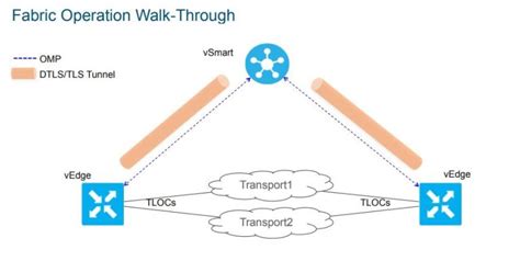 Sd Wan Deep Dive Vsmart Controller Carpe Dmvpn