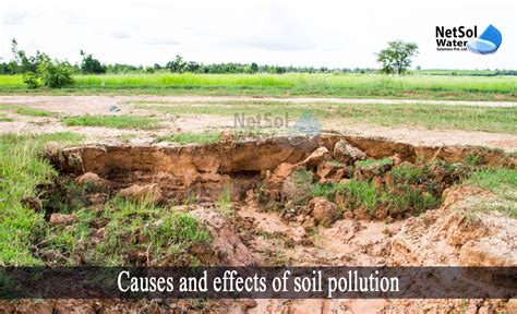 What are the main Causes and effects of soil pollution