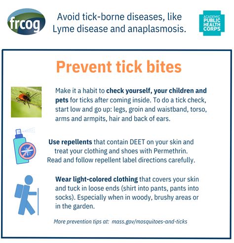 Tick Safety – FRCOG