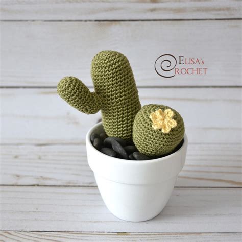 CROCHET PATTERN SUCCULENTS Amigurumi / Cactus / Flower / - Etsy