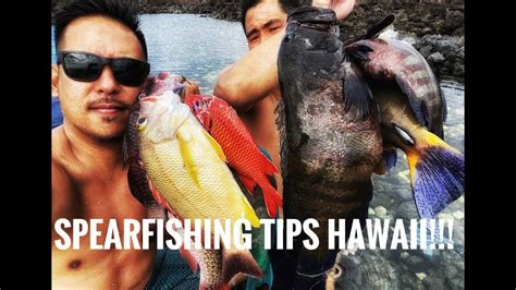 Spearfishing Hawaii Tips For Beginners Spearfishing Oahu Youtube