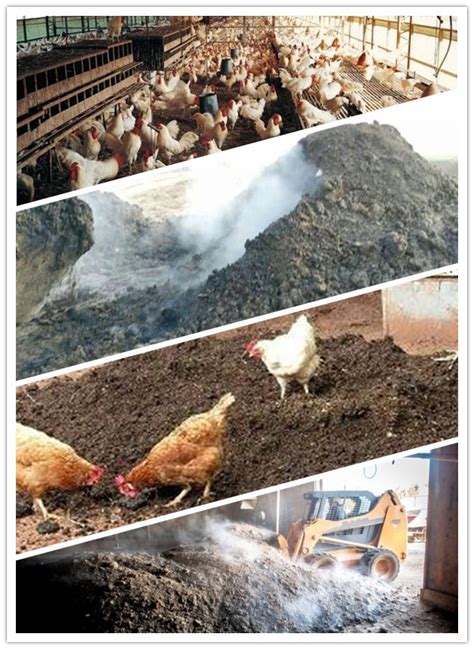 How to Process Chicken Manure for Fertilizer | Chicken Manure Composting