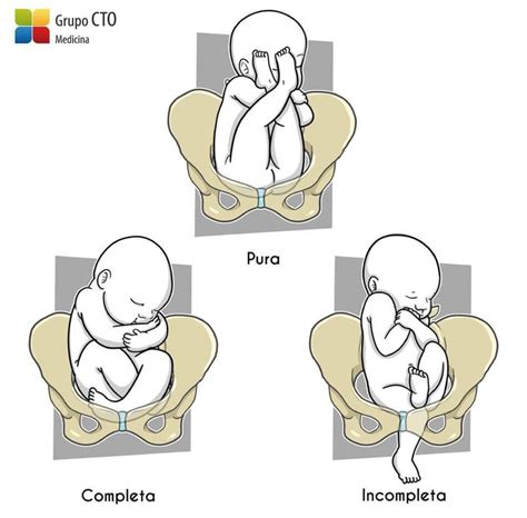 Three Stages Of The Development Of A Baby