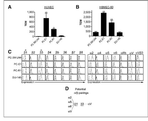 Figure From Tumor And Stem Cell Biology De Fi Nition Of Molecular