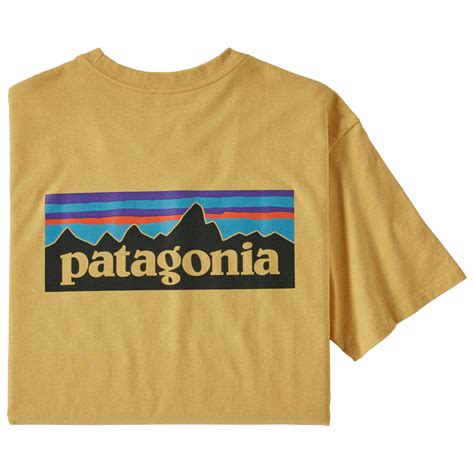 Patagonia P Logo Responsibili Tee T Shirt Men S Buy Online