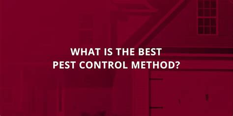 What Is The Best Pest Control Method Champions Pest Control