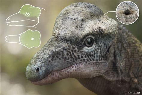 Triassic three-eyed reptile discovered in Texas | Earth Archives