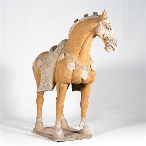 Antico Cinese Dinastia Tang Figura Di Cavallo In Terracotta 55 X 56 Cm Con Prova Tl Catawiki