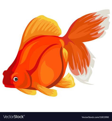 Golden fish on a white background Royalty Free Vector Image