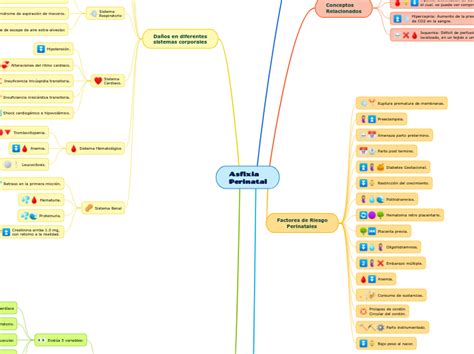 Asfixia Perinatal Mind Map