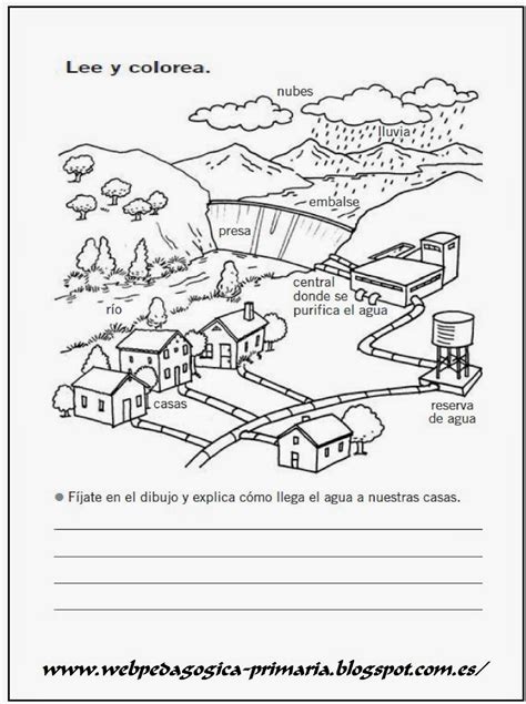 Conocimiento Del Medio Primaria Ficha Sobre Los Ciclos Del Agua