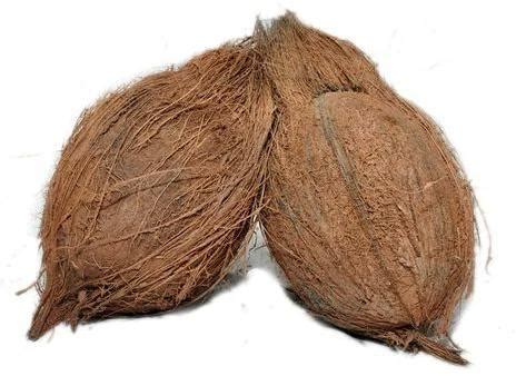 Natural Semi Husked Coconut For Pooja Cooking Speciality Free From