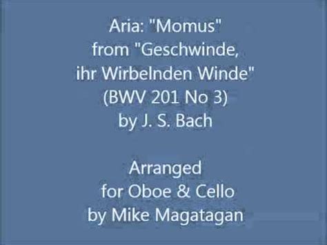 Aria Momus From Geschwinde Ihr Wirbelnden Winde BWV 201 No 3