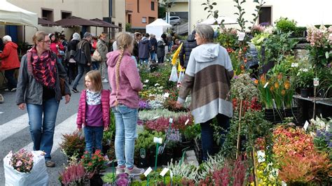 Im Reich Der Pflanzen Luxemburger Wort