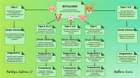 Mapa Mental Botulismo Patologia Veterinária