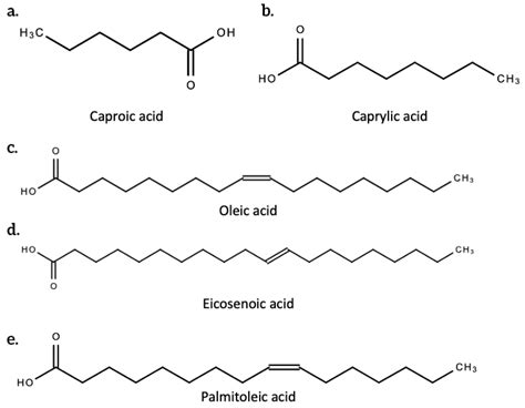 Kekule Structure Palmitic Acid