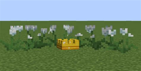 MCC Crown Minecraft Texture Pack