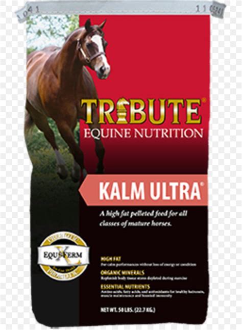 Horse Equine Nutrition Pelletizing Animal Feed Nutrient, PNG ...