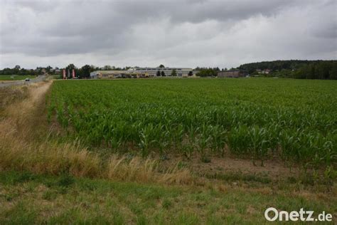 Vier Solarparks geplant Marktrat Konnersreuth gibt grünes Licht für