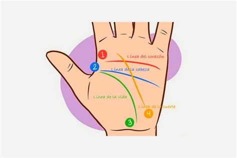 Qué revela tu palma de la mano sobre ti