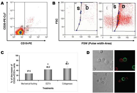 coexpression  cd  cd  cdcd cells cdcdcd triple