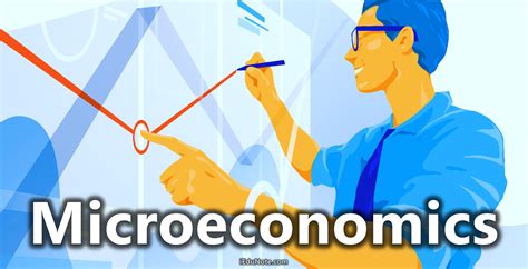 Microeconomics Definition Meaning Theories Assumptions