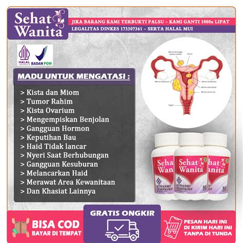 Jual Obat Kista Bartholin Benjolan Di Miss V Endometriosis Ovarium