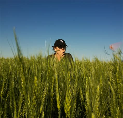 Cropland · Free Stock Photo