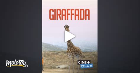 Giraffada En Streaming Sur Ciné Club