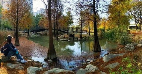 青春健康不老林 組圖：高雄超美景緻——凹子底公園賞落羽松