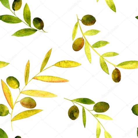 Acquerello Vettoriale Modello Senza Soluzione Di Continuit Con Olive