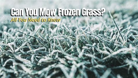 Can You Mow Frozen Grass The Backyard Pros