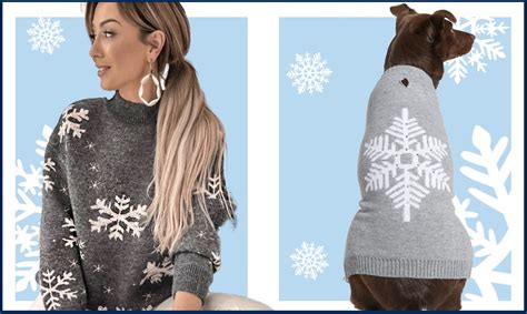 10 Cat and Dog Christmas Sweaters We're Loving | BeChewy