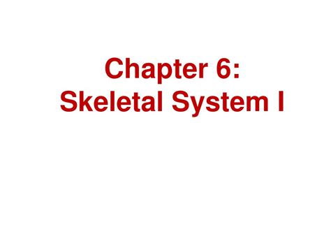 Ppt Chapter 6 Skeletal System I Powerpoint Presentation Free