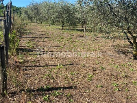 Terreno Agricolo Via San Leonardo Zabatta San Giuseppe Vesuviano Rif