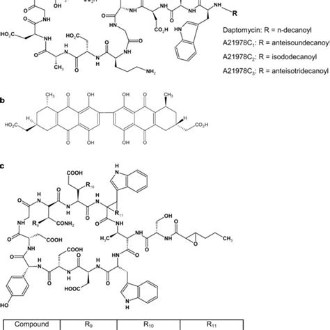 Structures Of A Daptomycin And Members Of The A21978c Complex B Download Scientific Diagram