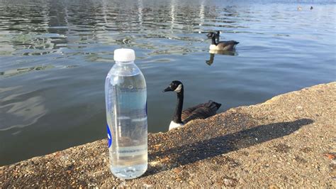 Polluted Drinking Water In Africa