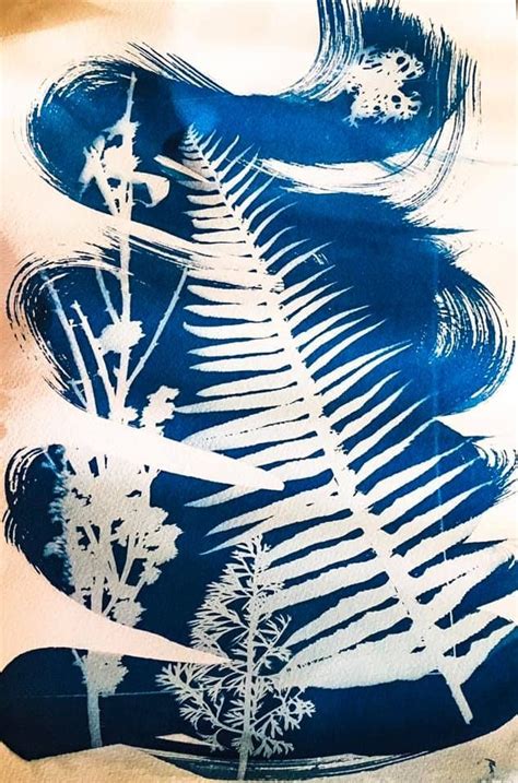 Handmade Cyanotype Photogram Sun Prints Art Organic Art