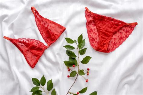 Shopping And Fashion Concept Set Of Glamorous Stylish Lace Lingerie With Cherry Branch Flat